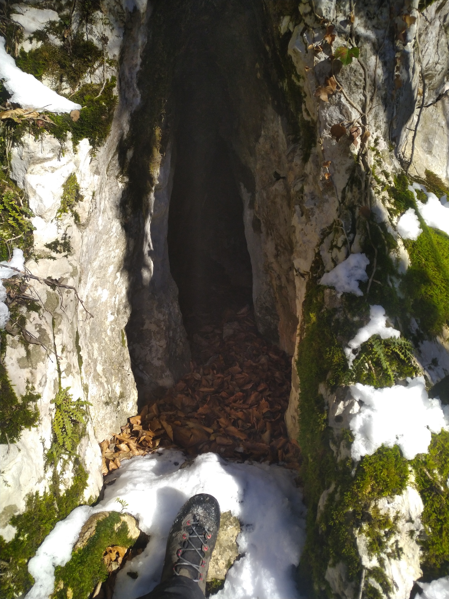 Peștera cu Săritori - Image 2